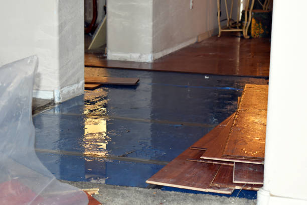 Professional Basement Flood Cleanup technician working in Stanhope, NJ